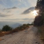 Portugese lucht 1