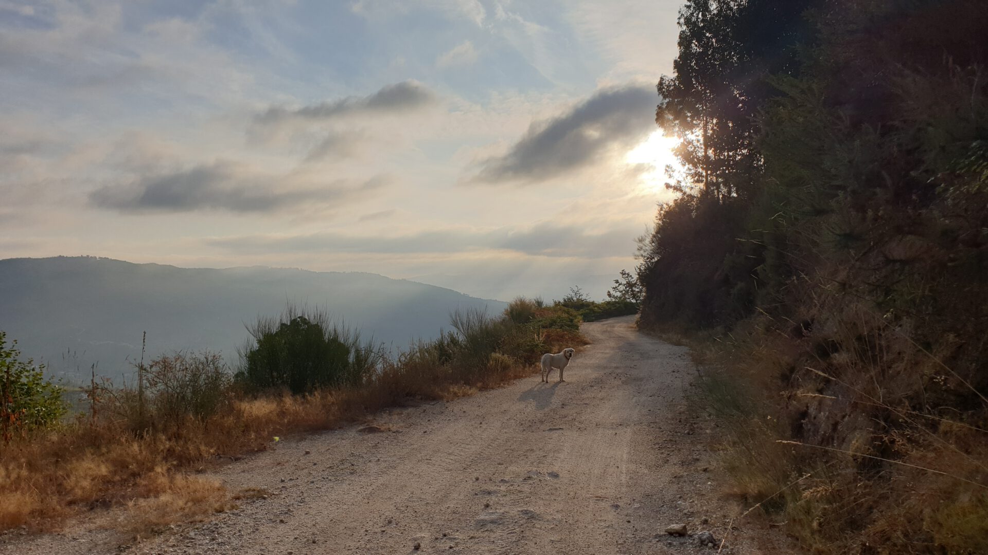 Portugese lucht 1