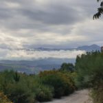 Portugese lucht 6