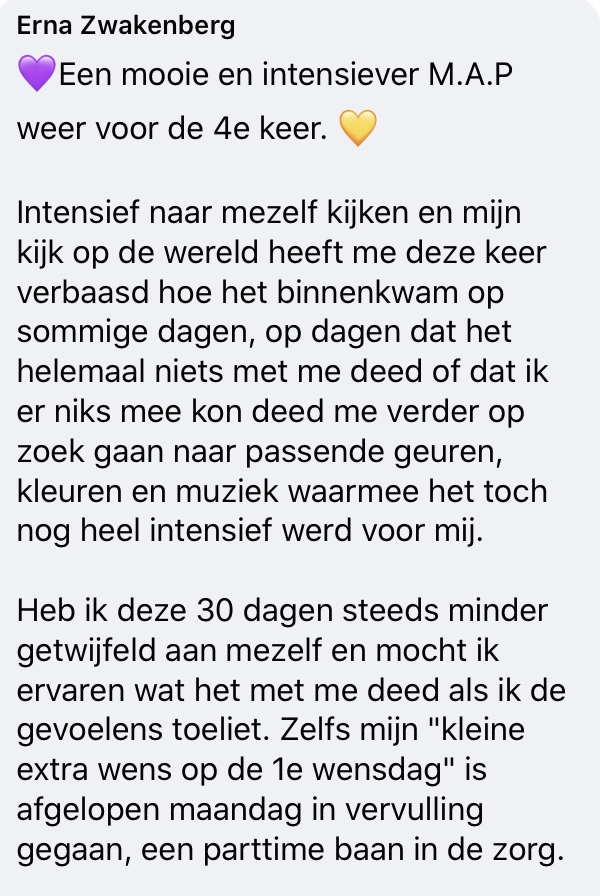 Erna Recensie MAP kopie