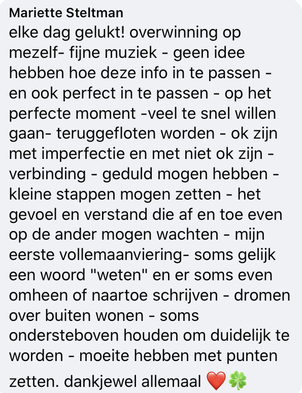 Mariette Steltman recensie MAP kopie