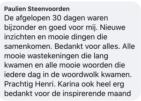 Paulien Steenvoorden recensie MAP kopie