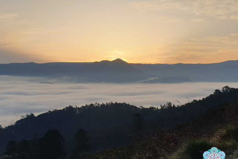 4 meest inspirerende zinnen (1)