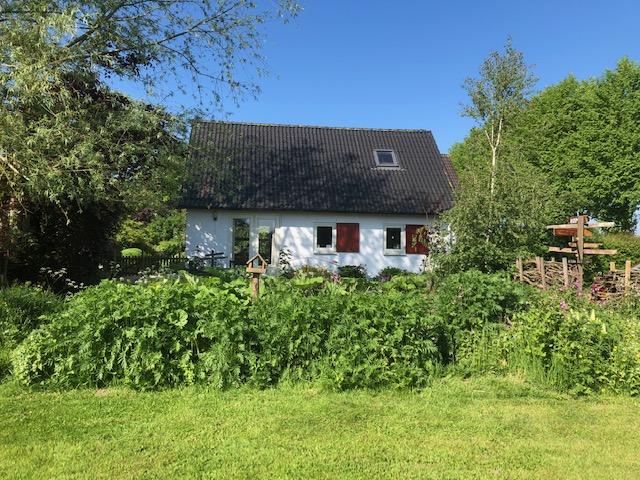 Atelier nr11