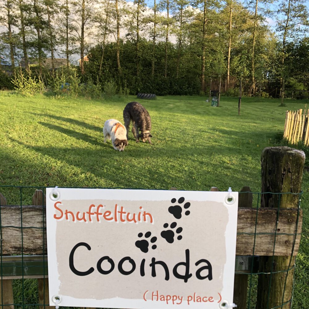 Cooinda