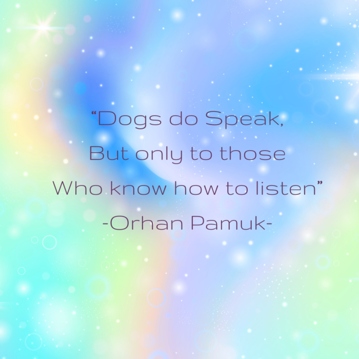 Gerie quote (2)